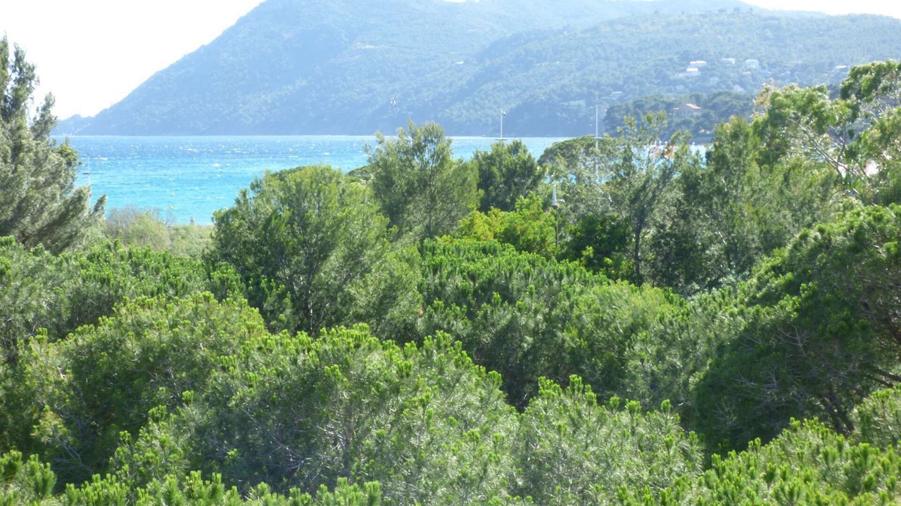 Photo of Others in Les Sablettes