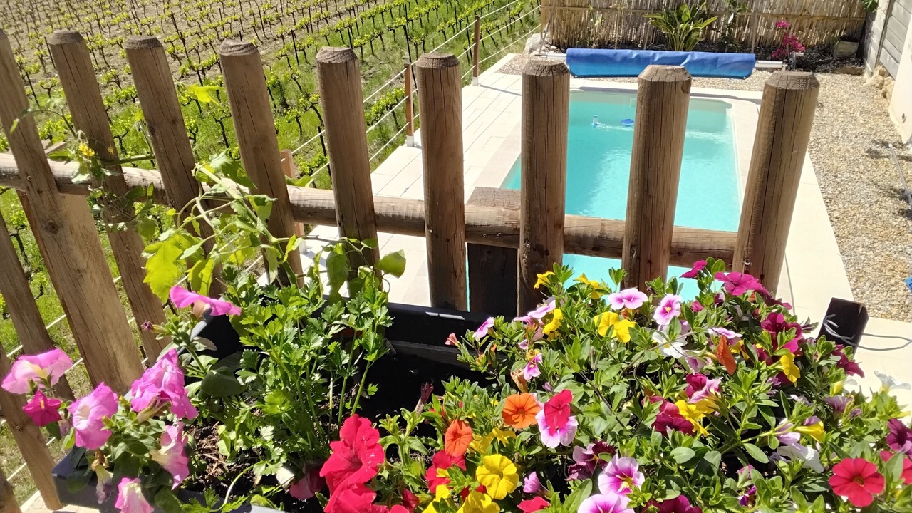 Photo of Outdoor in Vacqueyras