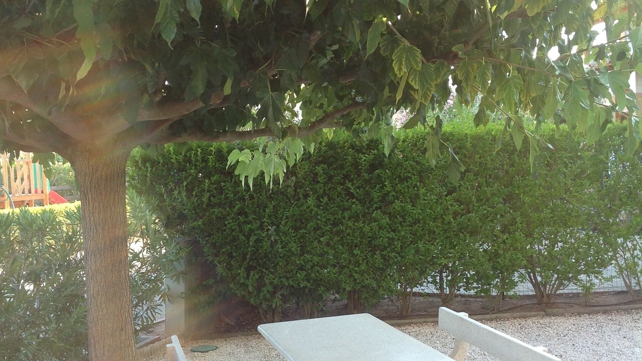 Photo of Outdoor in Vidauban