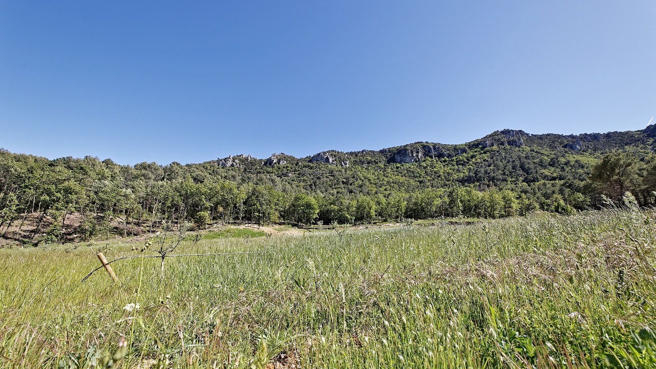 Photo of Outdoor in La Celle
