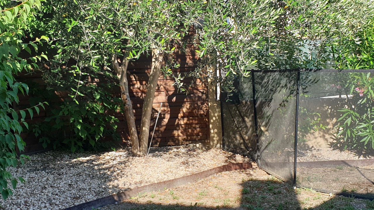 Photo of Outdoor in Vedene