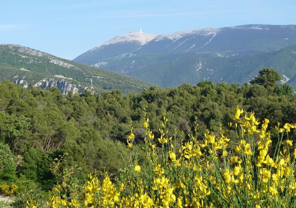 Photo of Outdoor in Mollans-sur-Ouveze