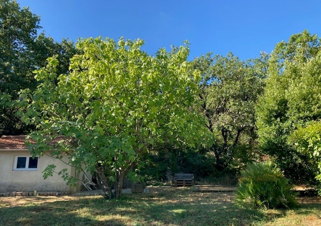 Photo of Outdoor in Piolenc