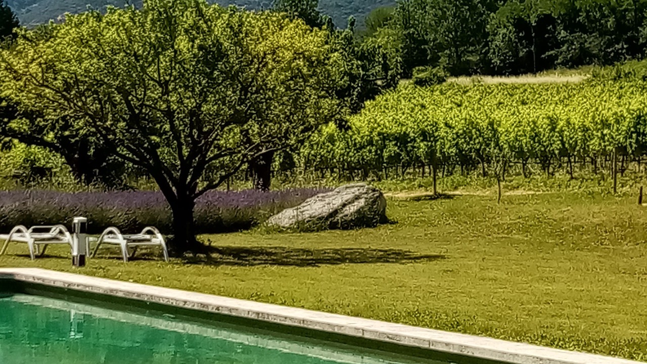Photo of Outdoor in Lacoste