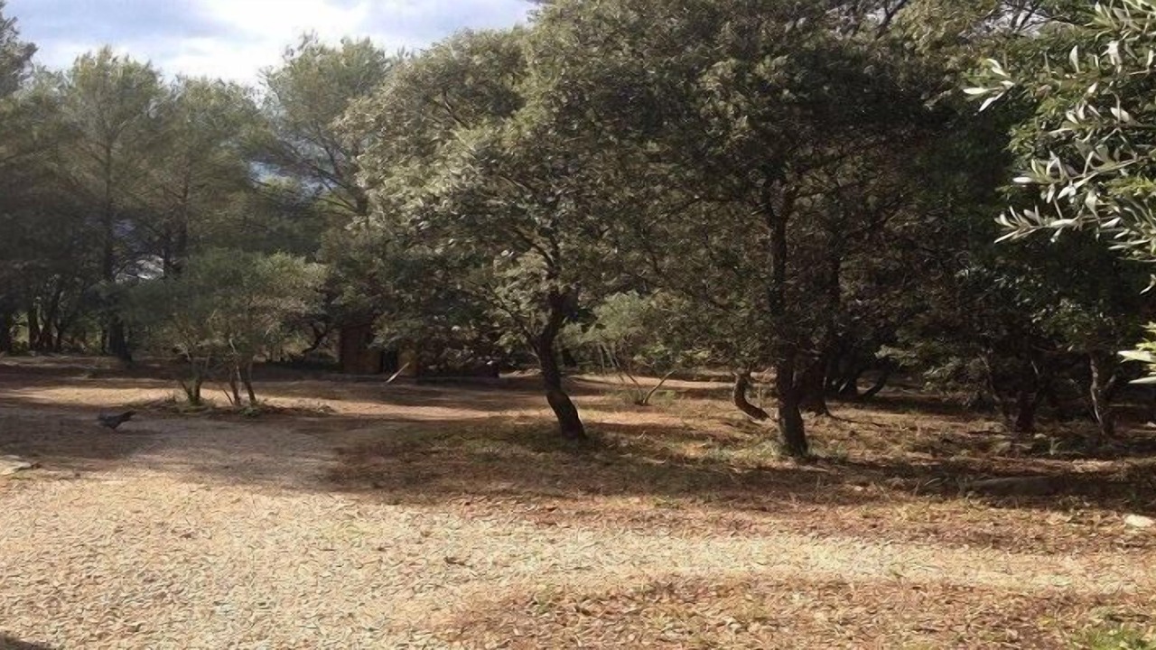 Photo of Outdoor in Grans