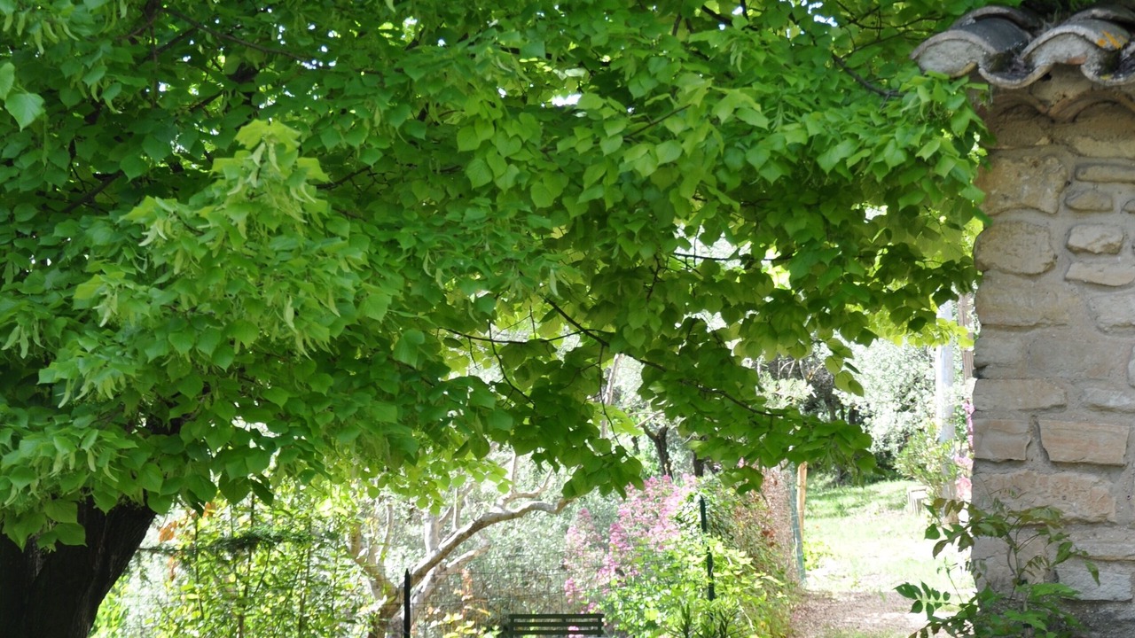 Photo of Outdoor in Venasque