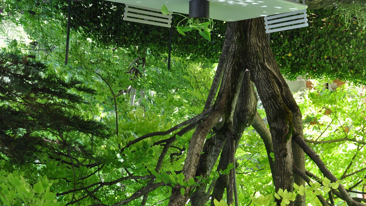 Photo of Outdoor in Venasque