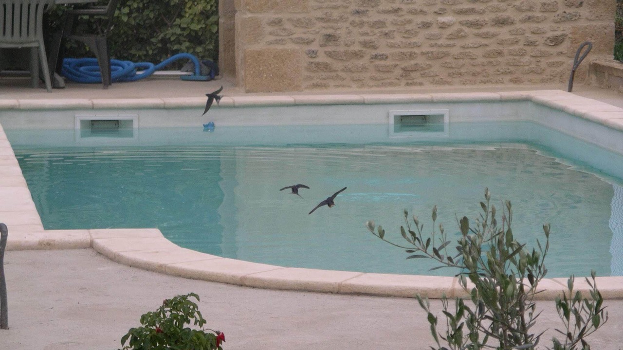 Photo of Outdoor in Vers-Pont-du-Gard