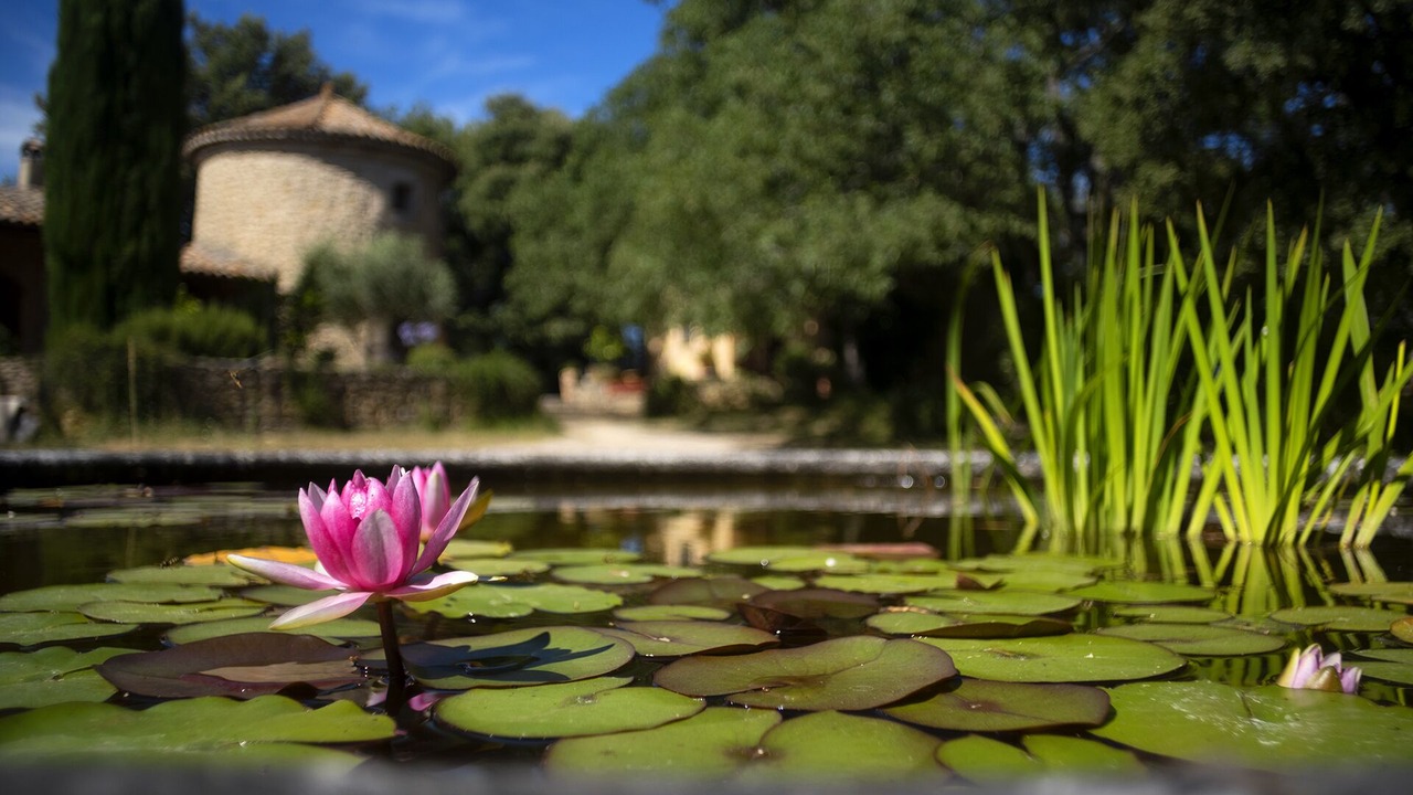 Photo of Outdoor in Cucuron