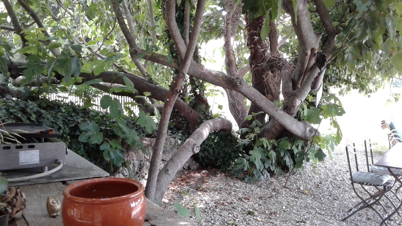 Photo of Outdoor in Verquieres