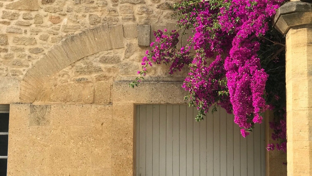 Photo of Outdoor in Remoulins