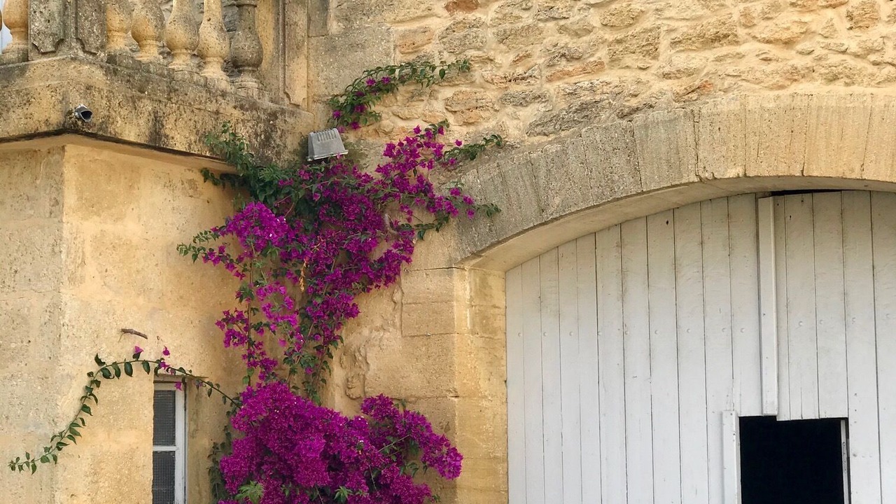 Photo of Outdoor in Remoulins