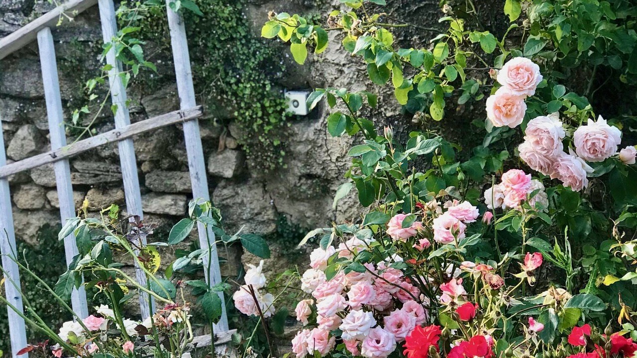 Photo of Outdoor in Remoulins