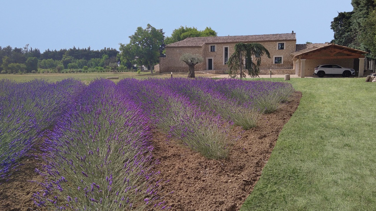 Photo of Outdoor in Cavaillon
