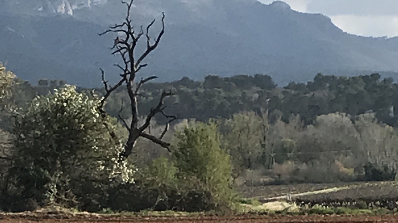 Photo of Others in Pourrieres