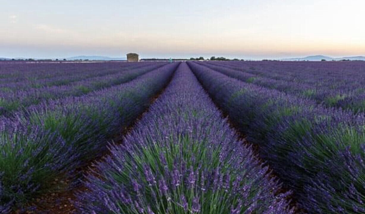 Photo of Outdoor in Oraison