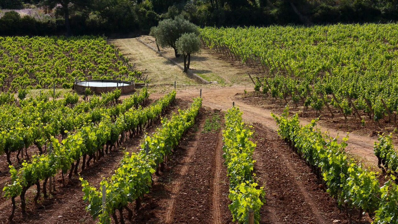 Photo of Outdoor in Le Pradet