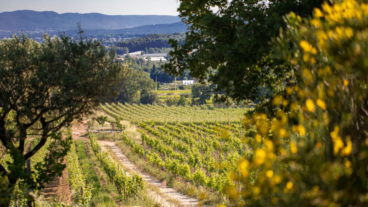 Photo of Outdoor in Le Pradet