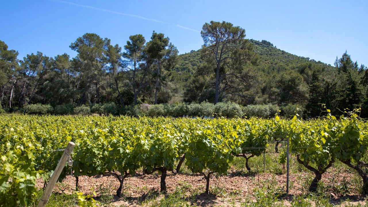 Photo of Outdoor in Le Pradet
