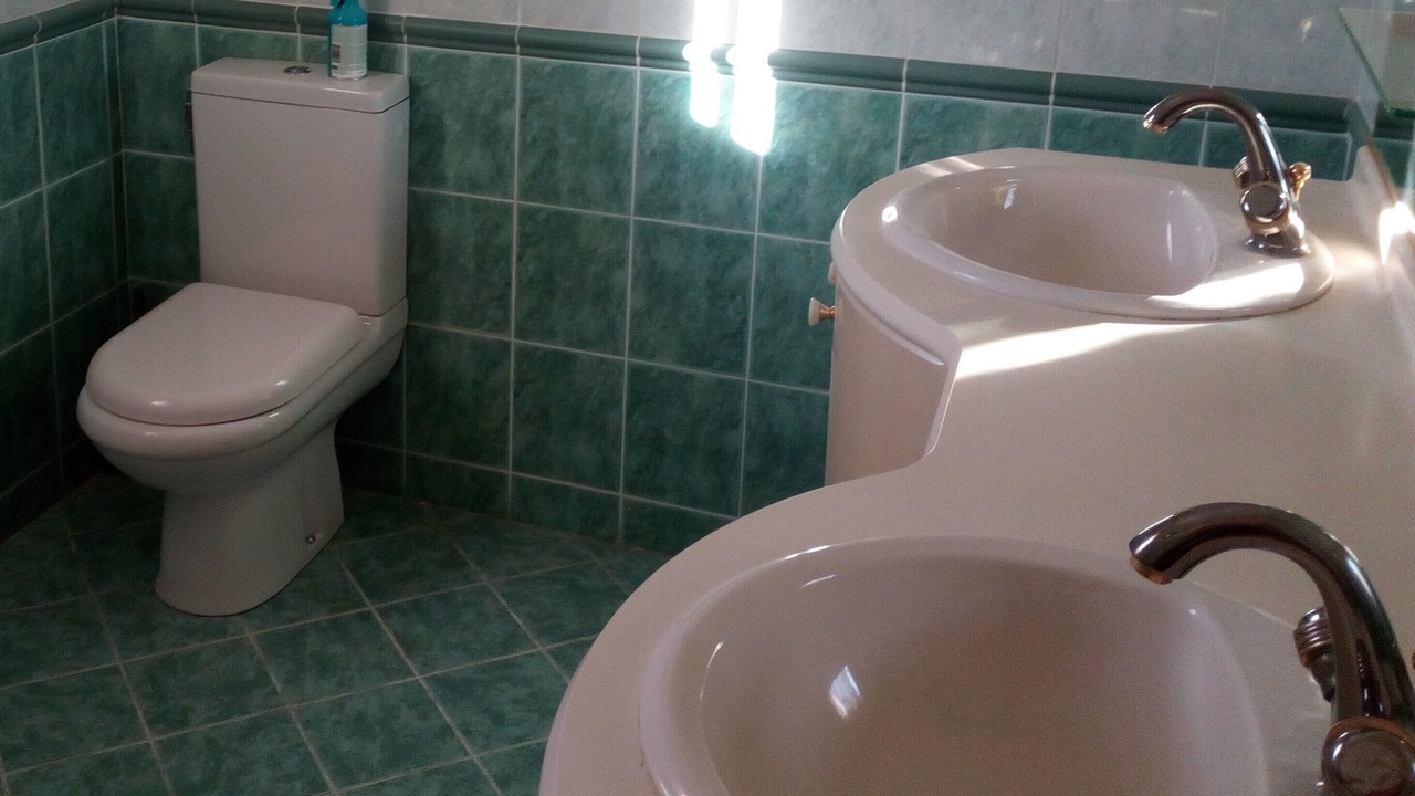 Photo of Bathroom in Caromb