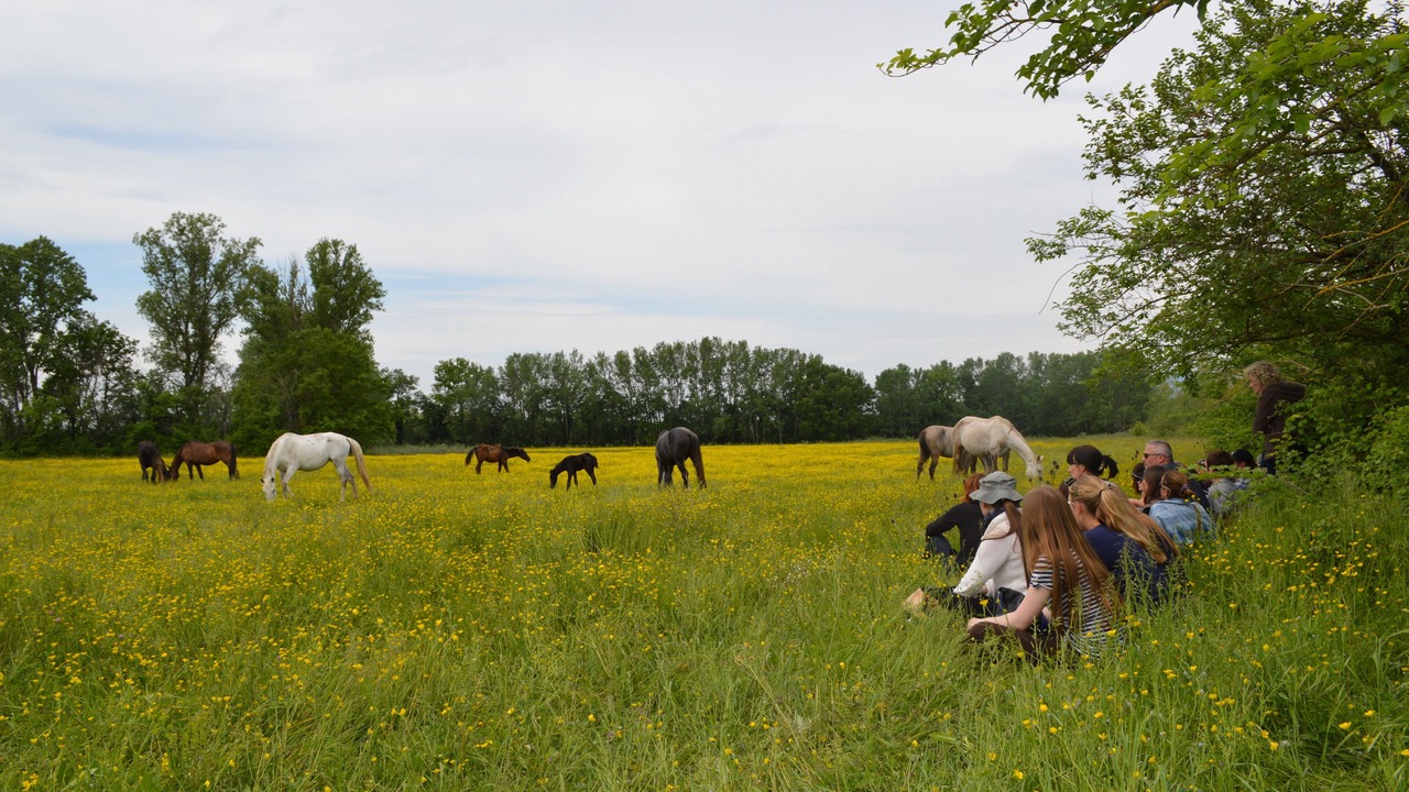 Photo of Others in Monteux