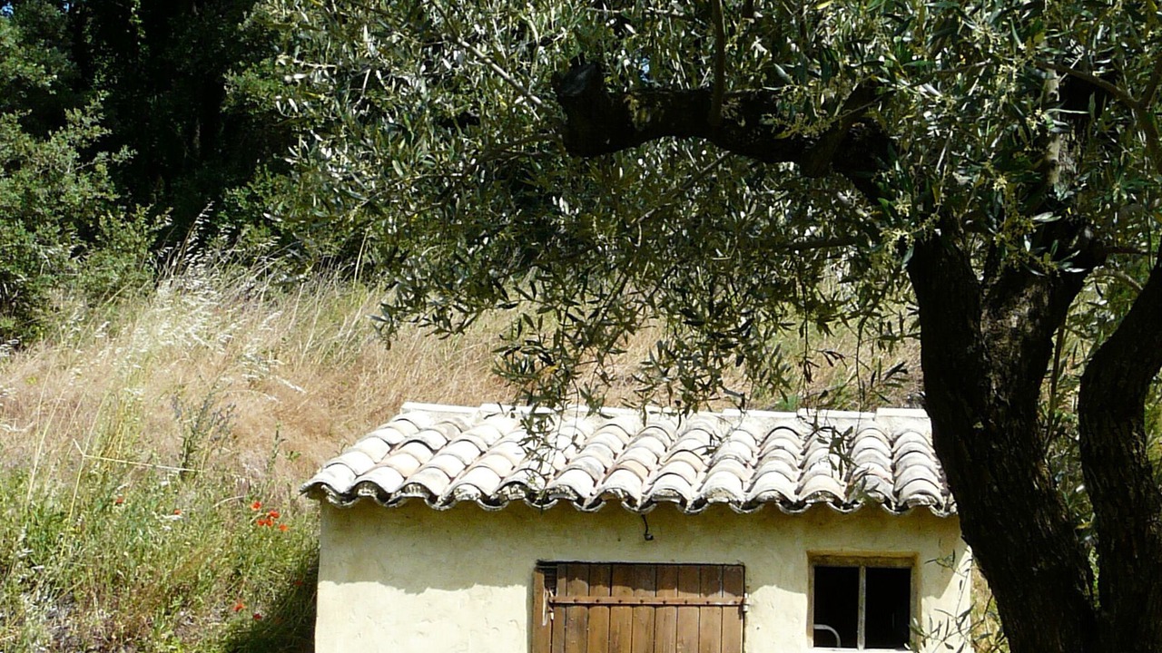 Photo of Outdoor in Monteux