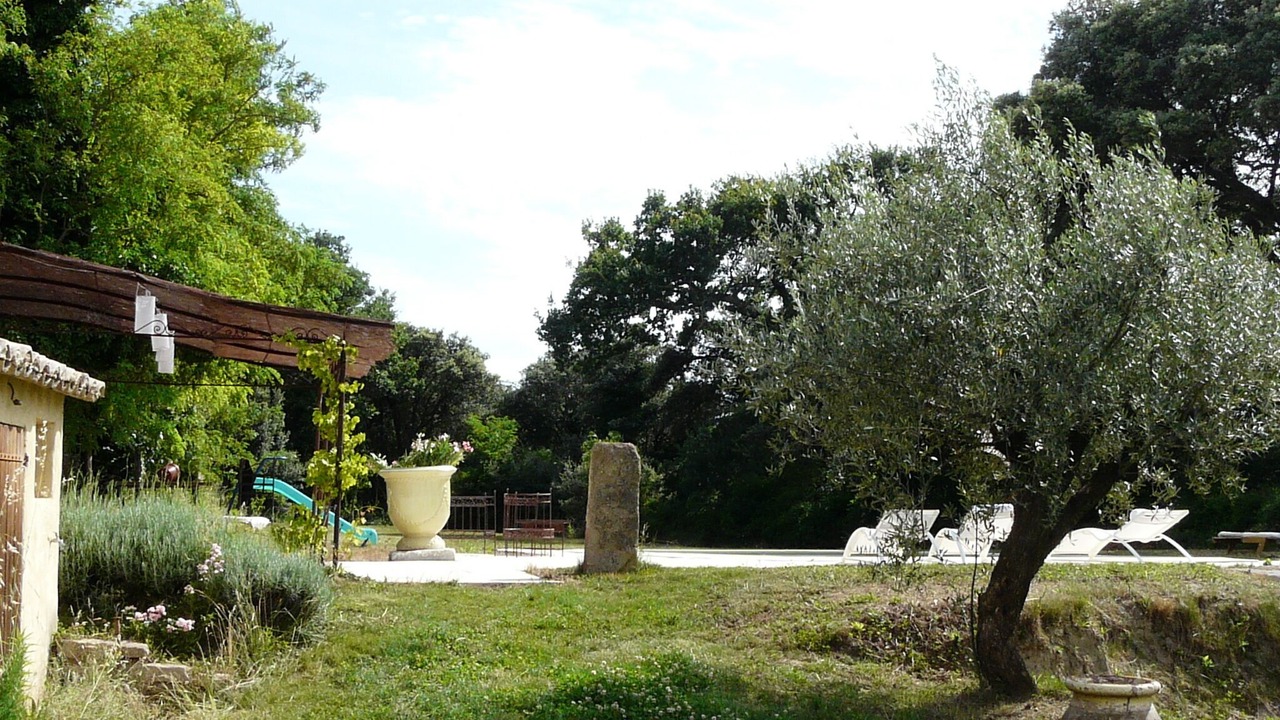 Photo of Outdoor in Monteux