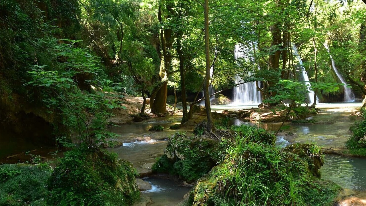 Photo of Outdoor in Carces