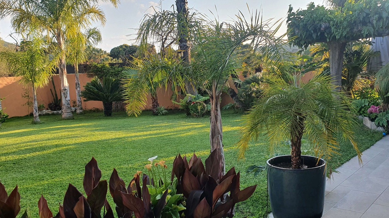 Photo of Outdoor in Carqueiranne