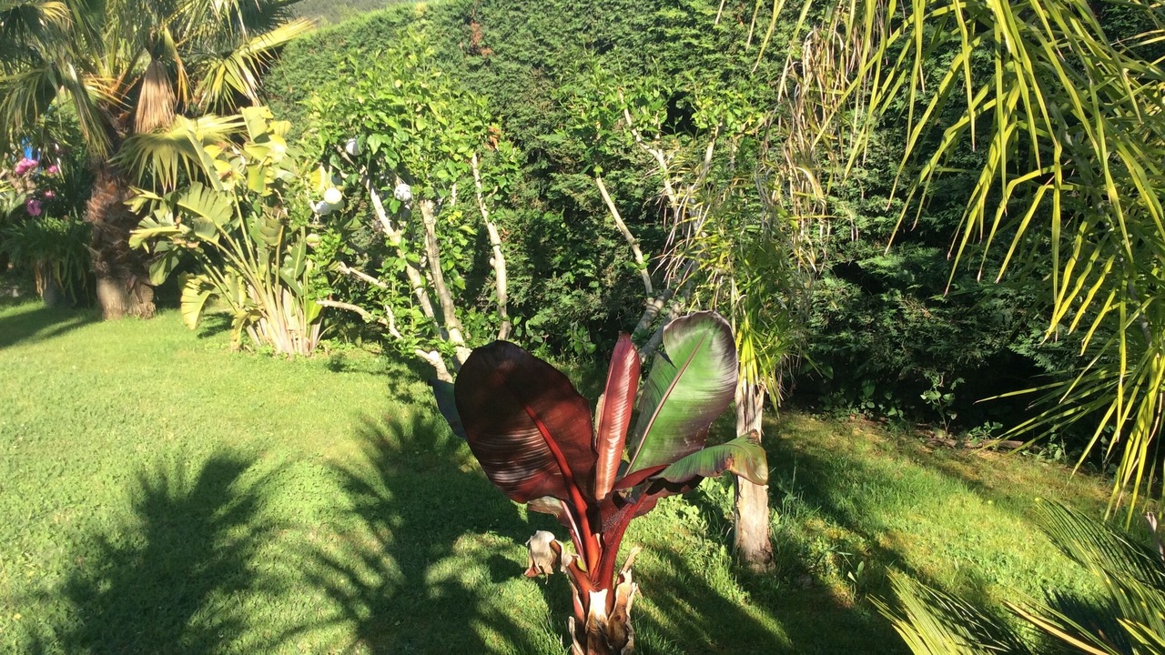 Photo of Outdoor in Carqueiranne