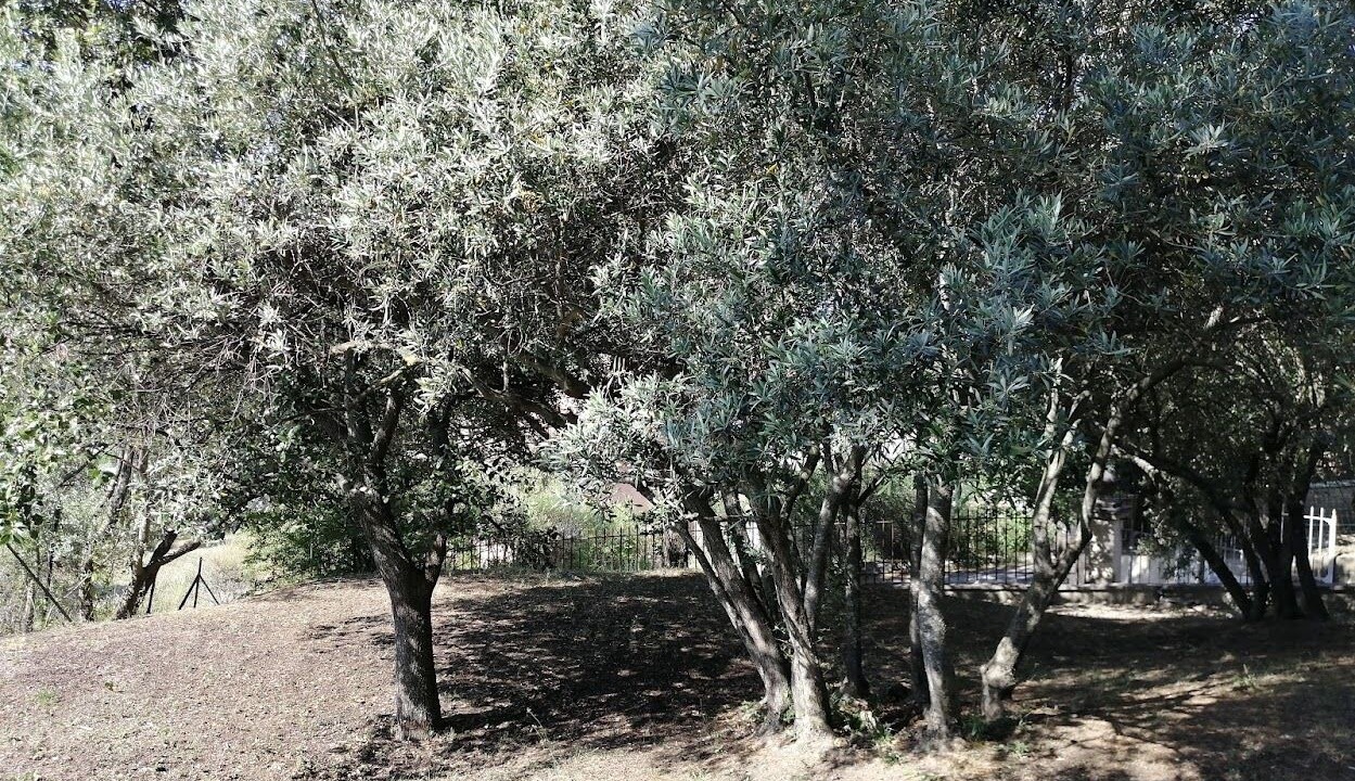 Photo of Outdoor in Rustrel