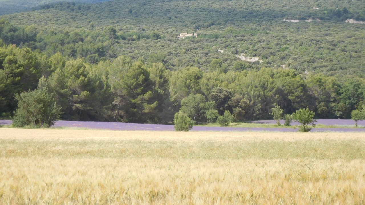 Photo of Others in Rustrel