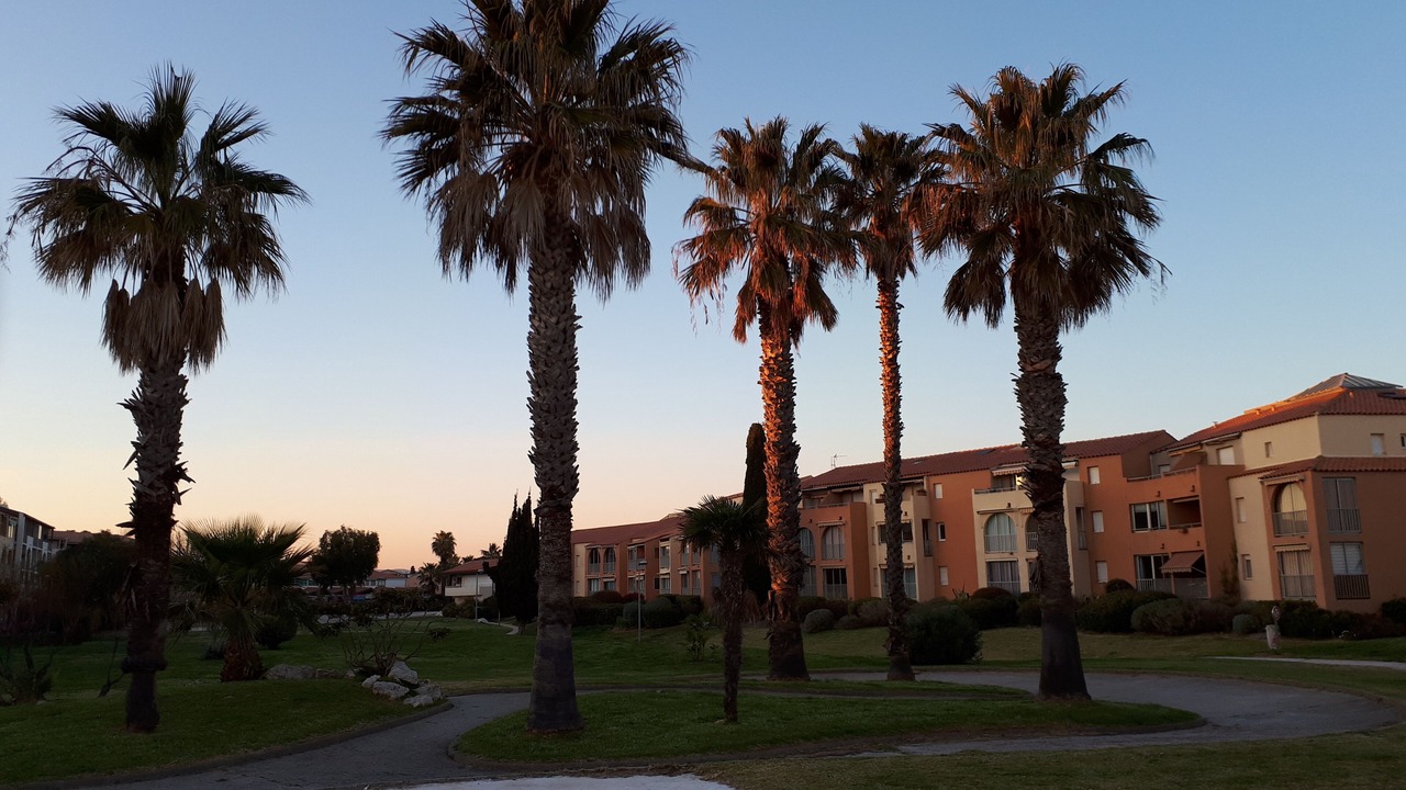 Photo of Outdoor in Miramar