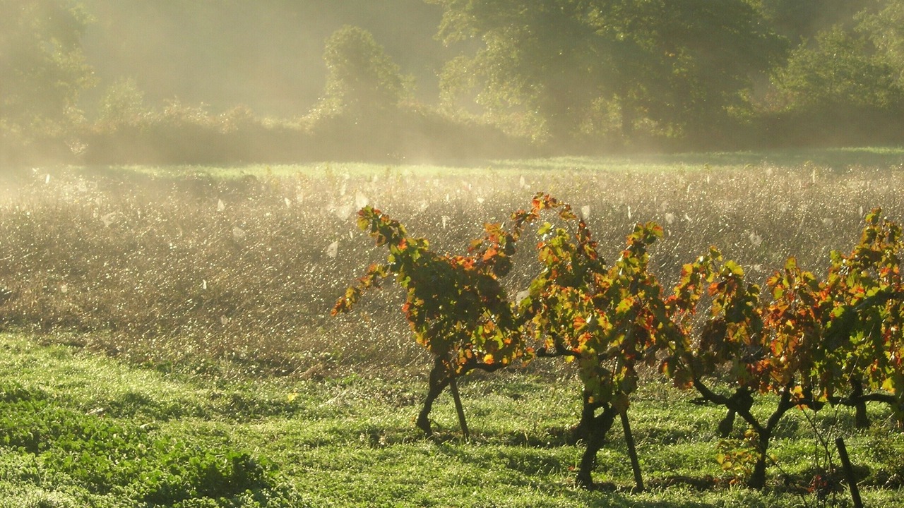 Photo of Outdoor in Menerbes