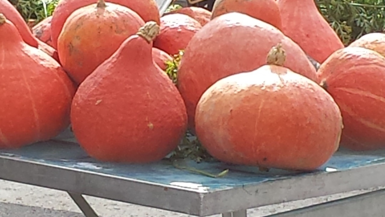 Photo of Others in Menerbes