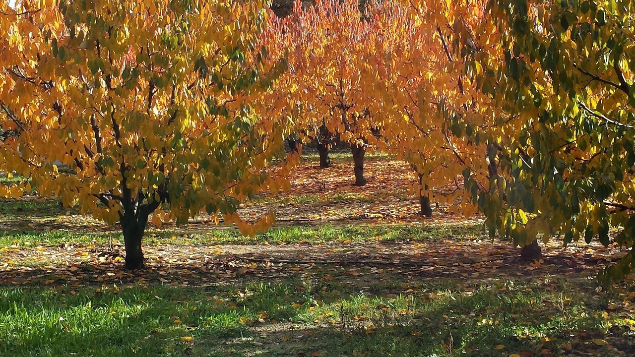 Photo of Outdoor in Menerbes