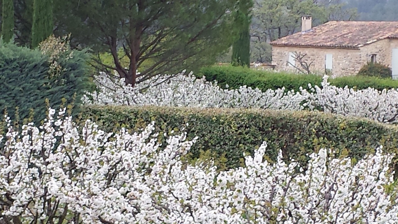Photo of Outdoor in Menerbes