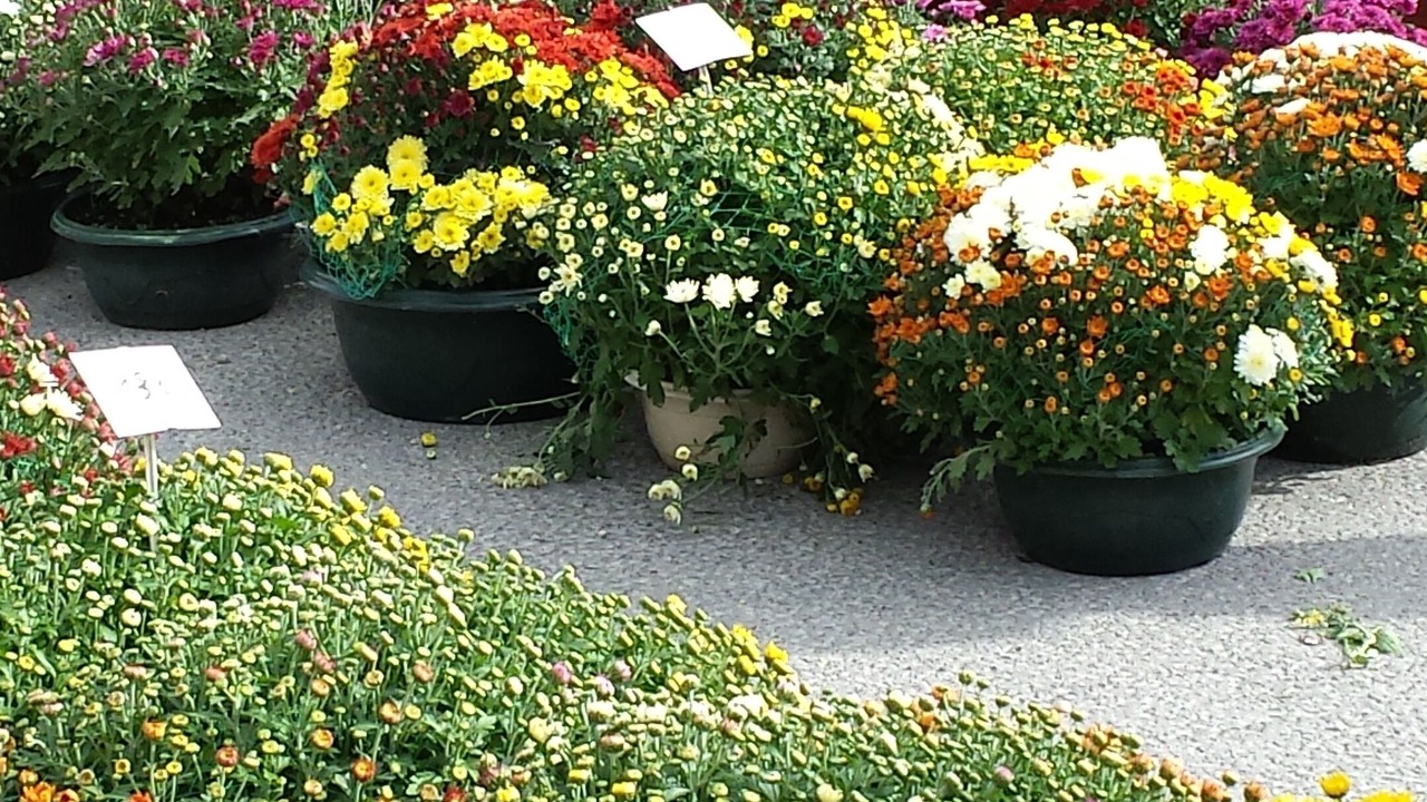 Photo of Outdoor in Menerbes