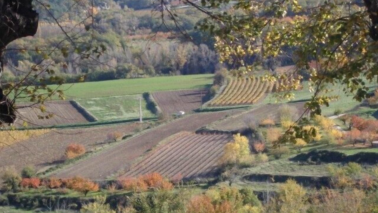 Photo of Outdoor in Menerbes