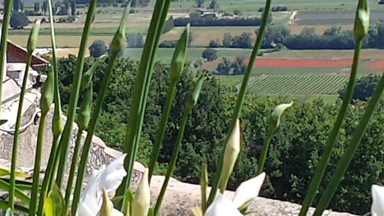 Photo of Outdoor in Menerbes