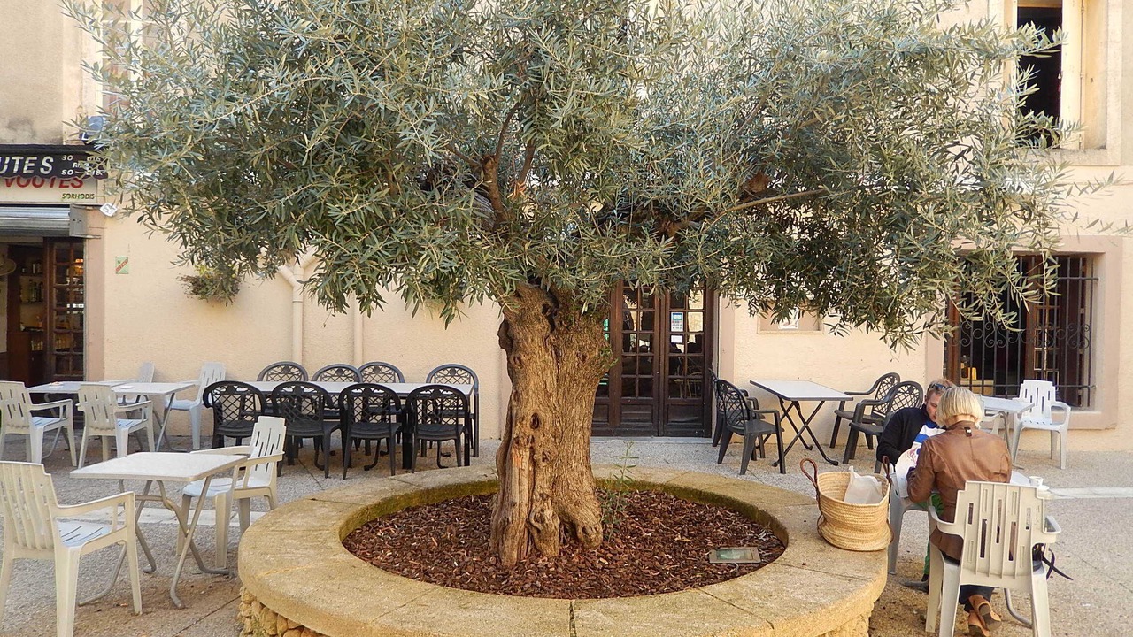 Photo of Outdoor in Vers-Pont-du-Gard