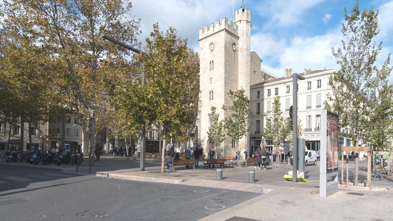 Photo of Others in Avignon City Centre