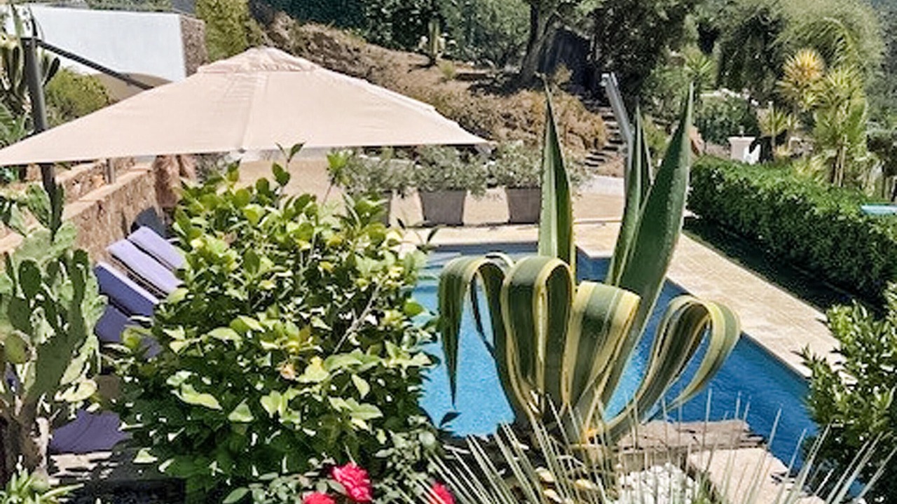 Photo of Others in La Londe-les-Maures
