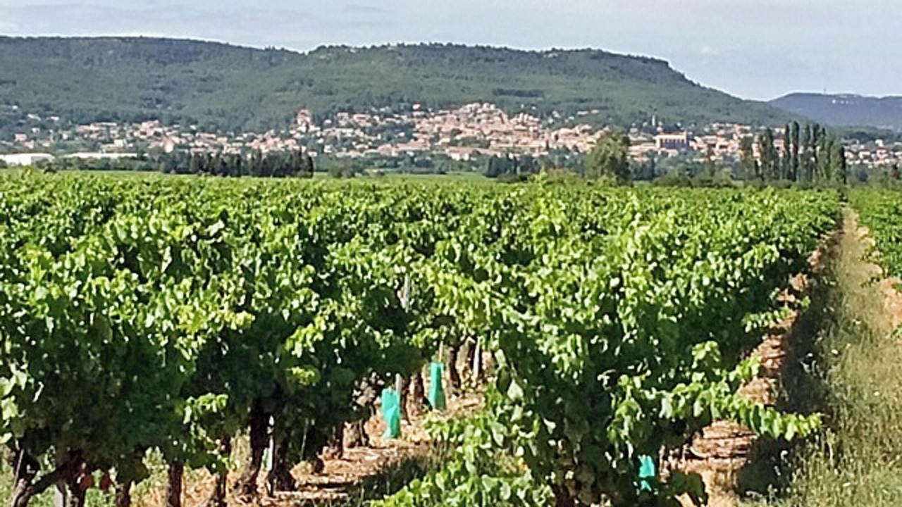 Photo of Outdoor in Saint-Victor-la-Coste