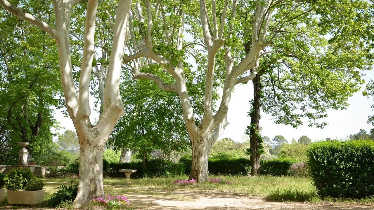 Photo of Outdoor in Montfort-sur-Argens