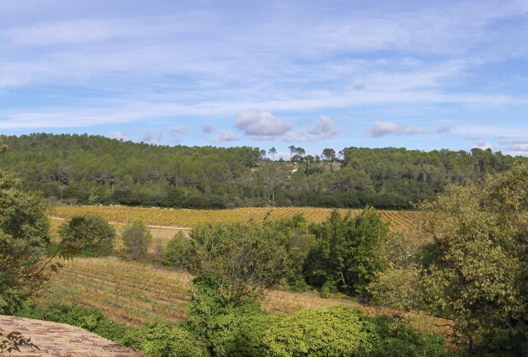 Photo of Others in Montfort-sur-Argens