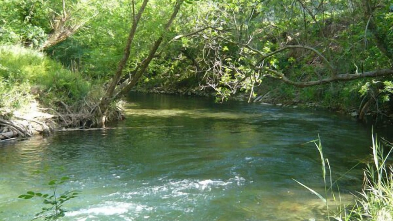 Photo of Others in Correns