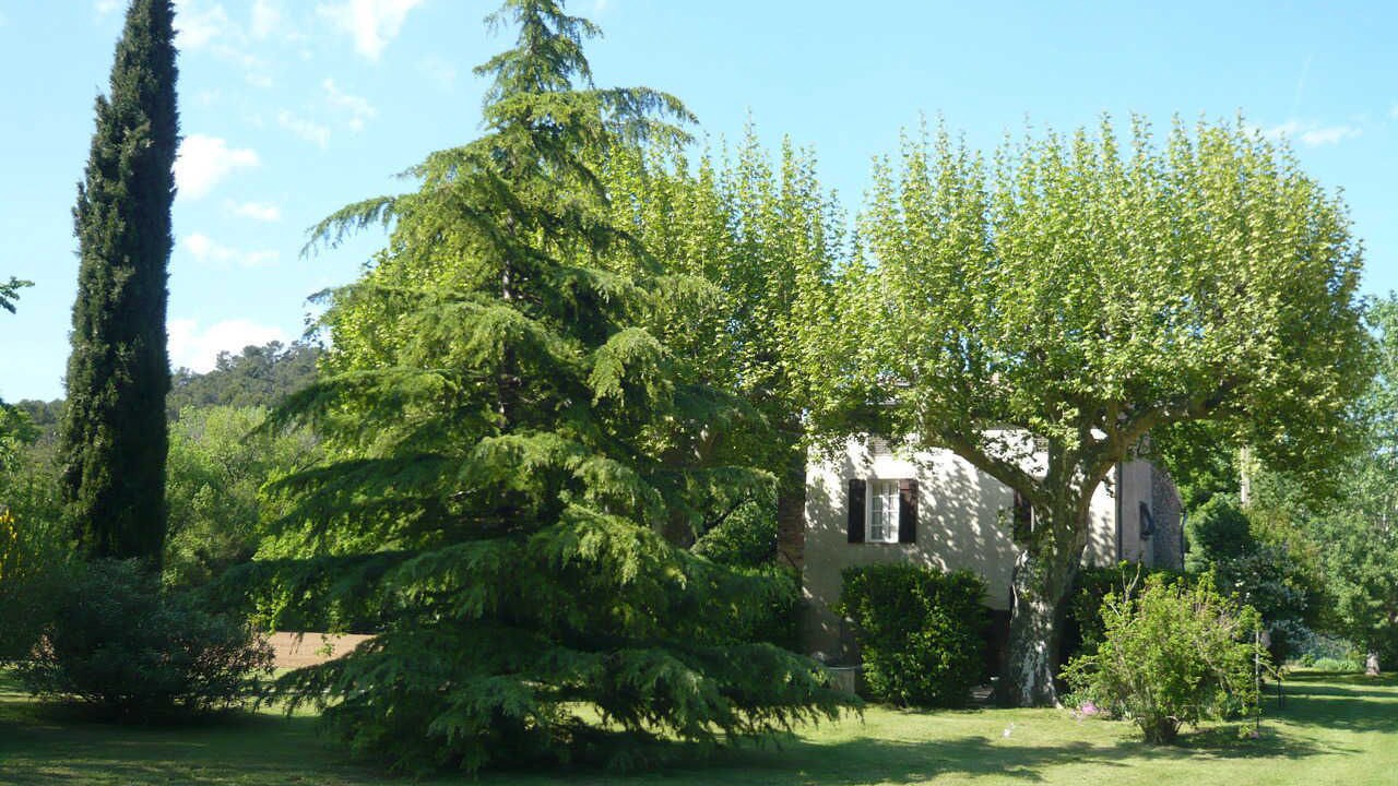 Photo of Outdoor in Correns