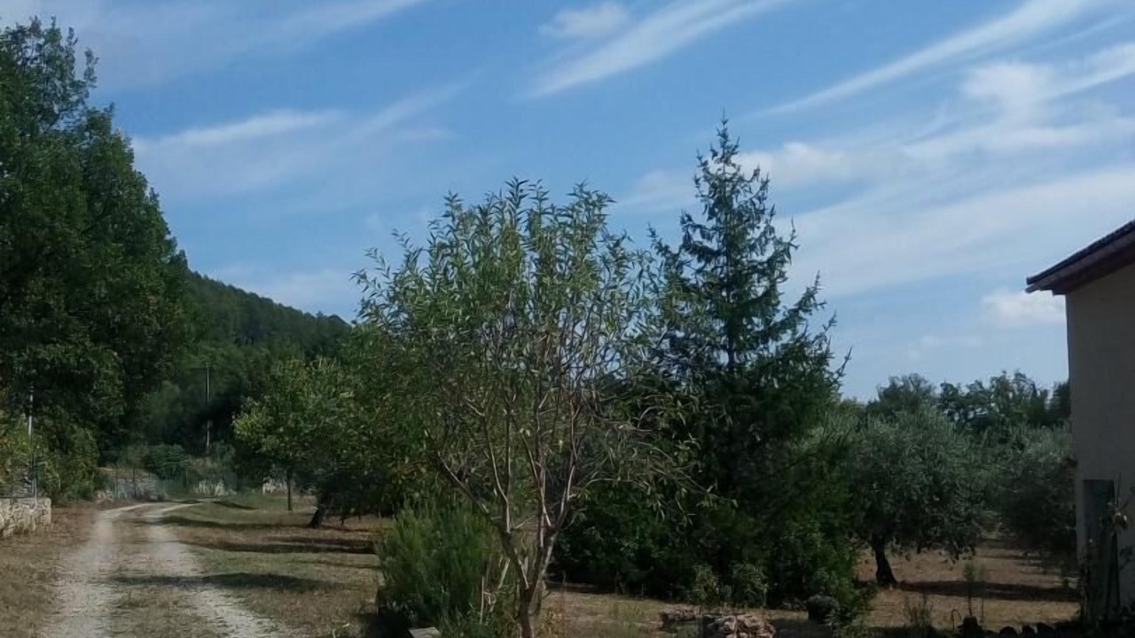 Photo of Outdoor in Figanieres