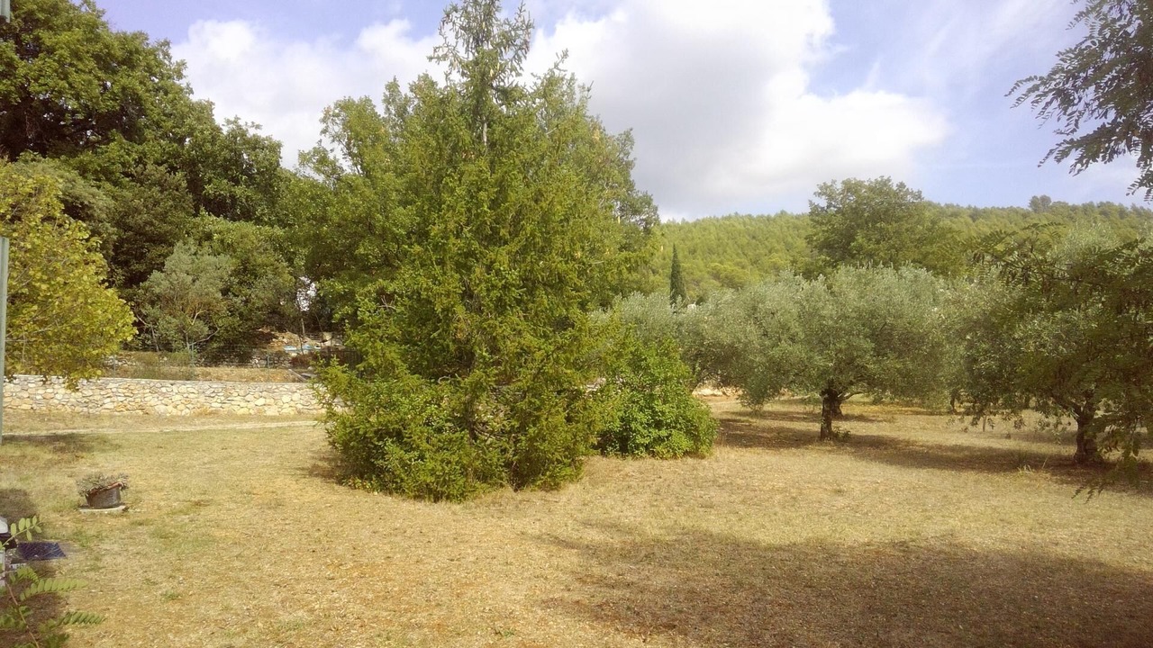 Photo of Outdoor in Figanieres
